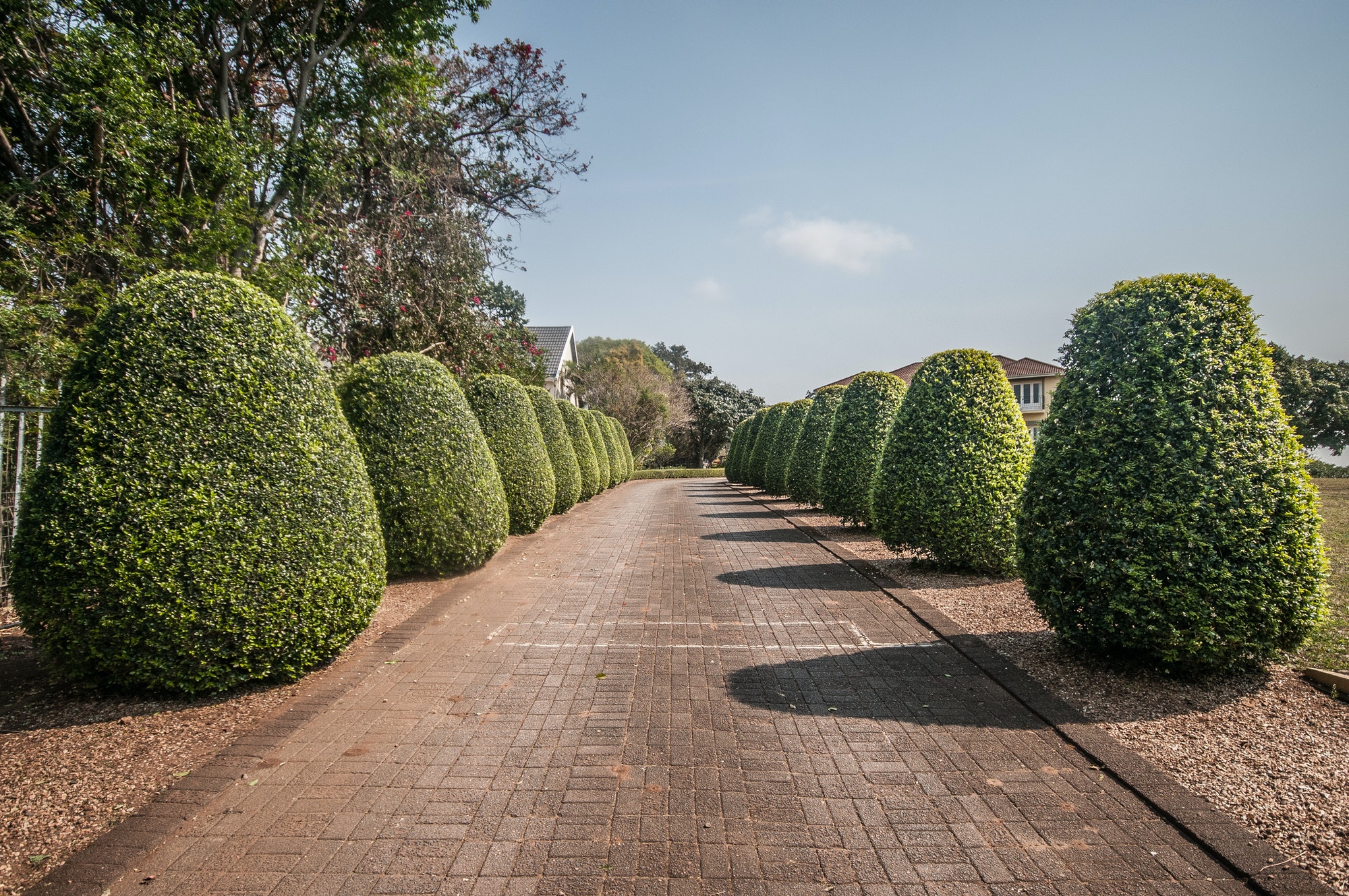 Choosing Plants for Your Gardening Area