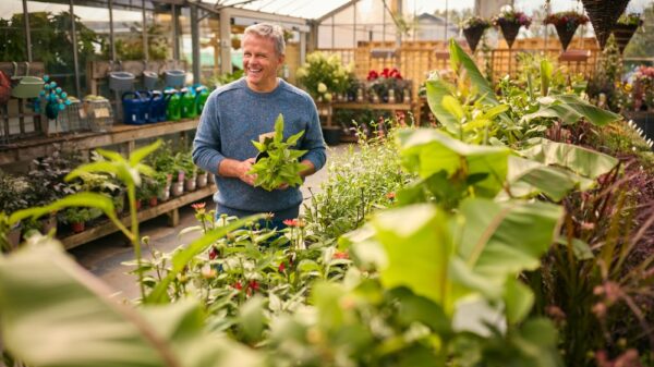 Garden Centre Ardcarne and Garden Centre Boyle: Discover the Best Gardening Destinations in Roscommon
