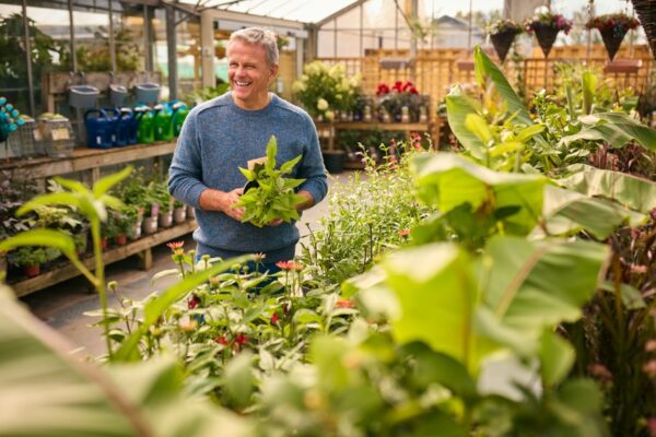 Garden Centre Ardcarne and Garden Centre Boyle: Discover the Best Gardening Destinations in Roscommon