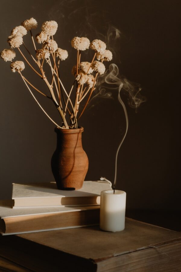 Home Decor and Pet Shop Essentials: Creating a Stylish, Comfortable Space for You and Your Pets